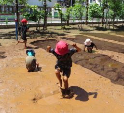 ����̐����C���[�W